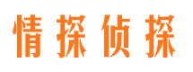 东兰寻人公司